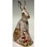 A Royal Crown Derby paperweight, Midsummer Hare, gold stopper, 17cm, printed marks