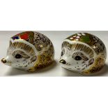 A Royal Crown Derby paperweight, Snowberry Hedgehog, gold stopper; another, Hawthorn Hedgehog,