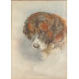J L Pike (early 20th century) Portrait of a dog signed, dated 1903, watercolour, 33cm x 23.5cm