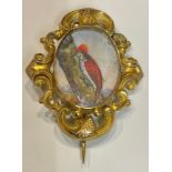 A 19th century gilt metal brooch, set with an oval panel painted with an exotic bird