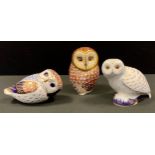 A Royal Crown Derby paperweight Snowy Owl, gold stopper; others Barn Owl. gold stopper; Imari Owl,