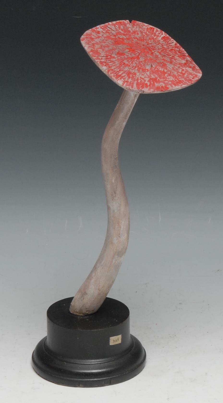 A painted softwood fungi specimen model, mounted for display, 27cm high overall; another (2) - Image 2 of 5