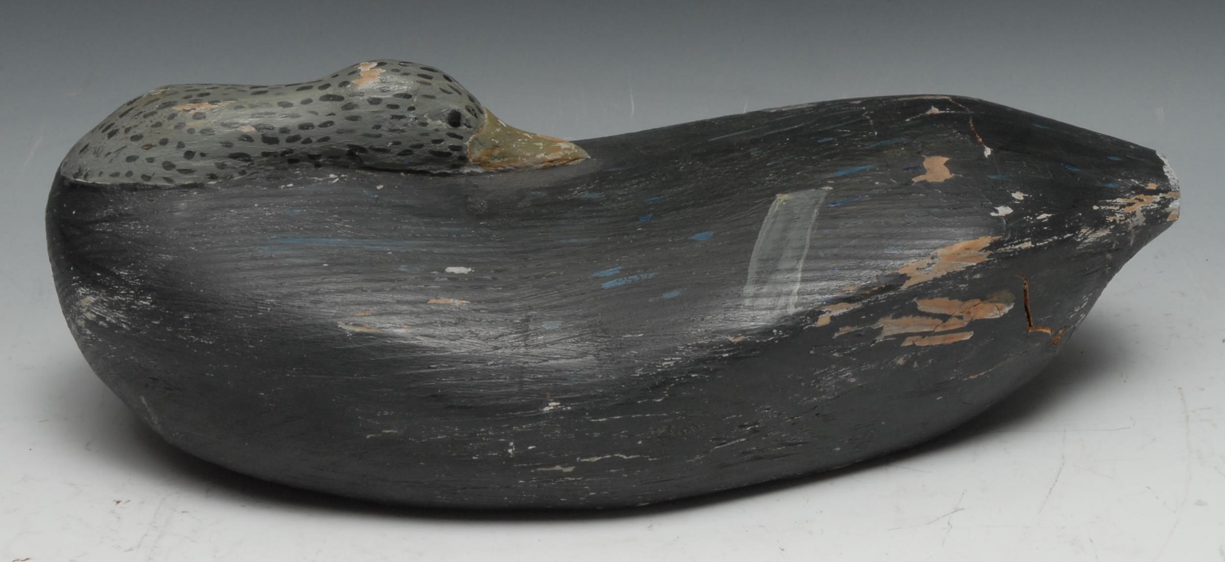 A large painted softwood decoy duck, carved sleeping, 37cm long