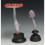 A painted softwood fungi specimen model, mounted for display, 22cm high overall; another (2)