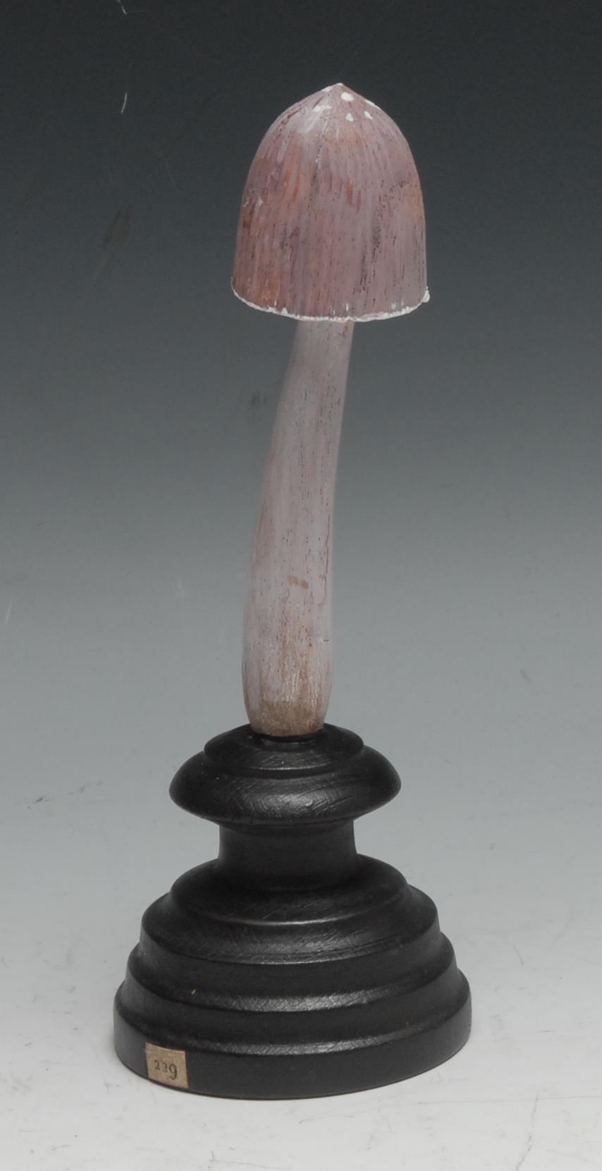 A painted softwood fungi specimen model, mounted for display, 22cm high overall; another (2) - Image 3 of 4