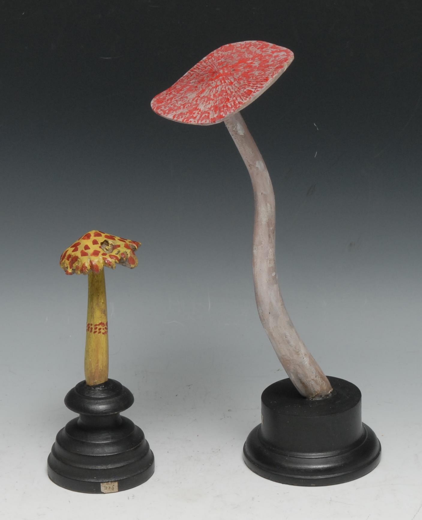 A painted softwood fungi specimen model, mounted for display, 27cm high overall; another (2)