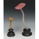 A painted softwood fungi specimen model, mounted for display, 27cm high overall; another (2)