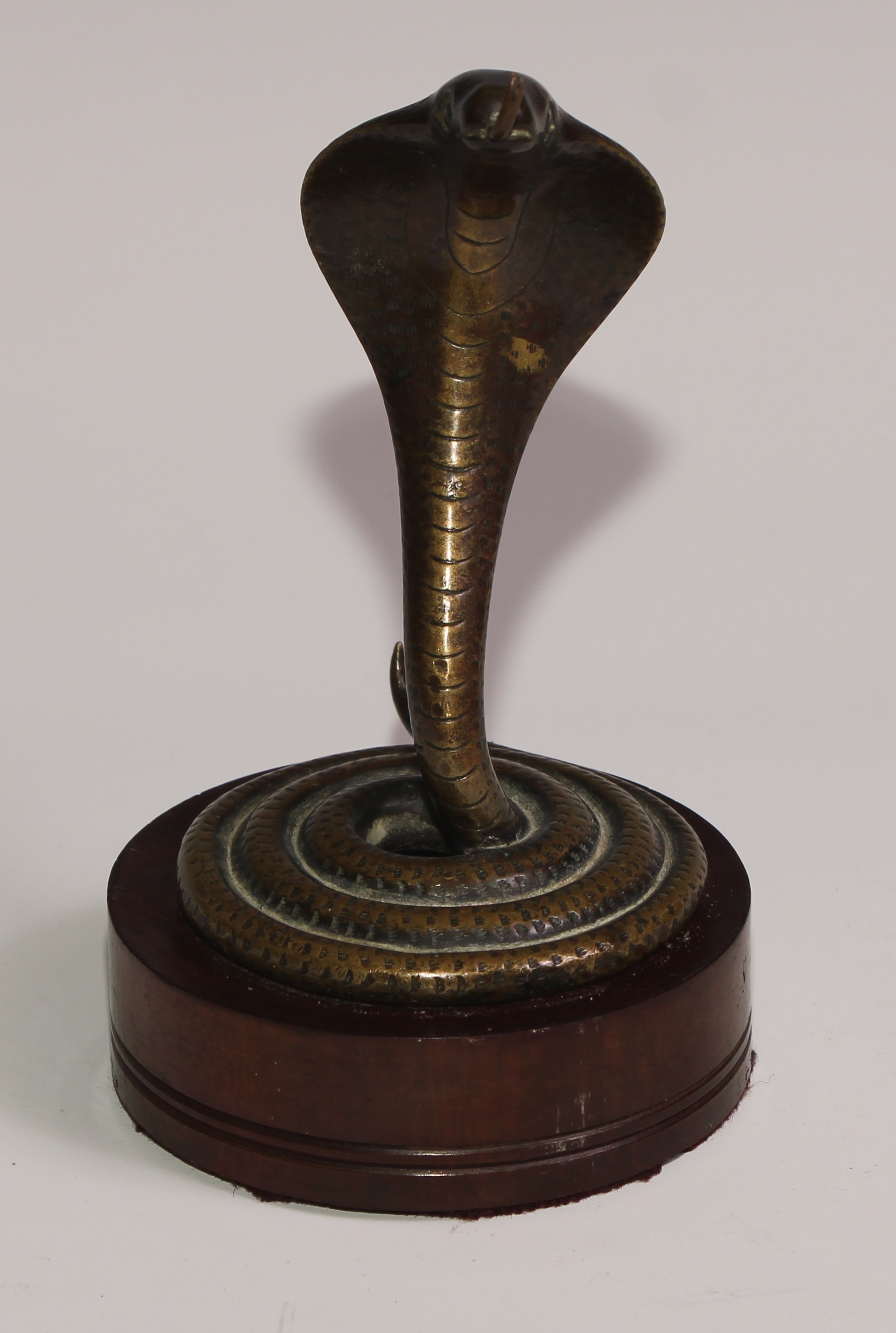 A bronze novelty pocket watch stand, as a coiled Indian cobra, hardwood base, 15cm high