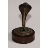 A bronze novelty pocket watch stand, as a coiled Indian cobra, hardwood base, 15cm high