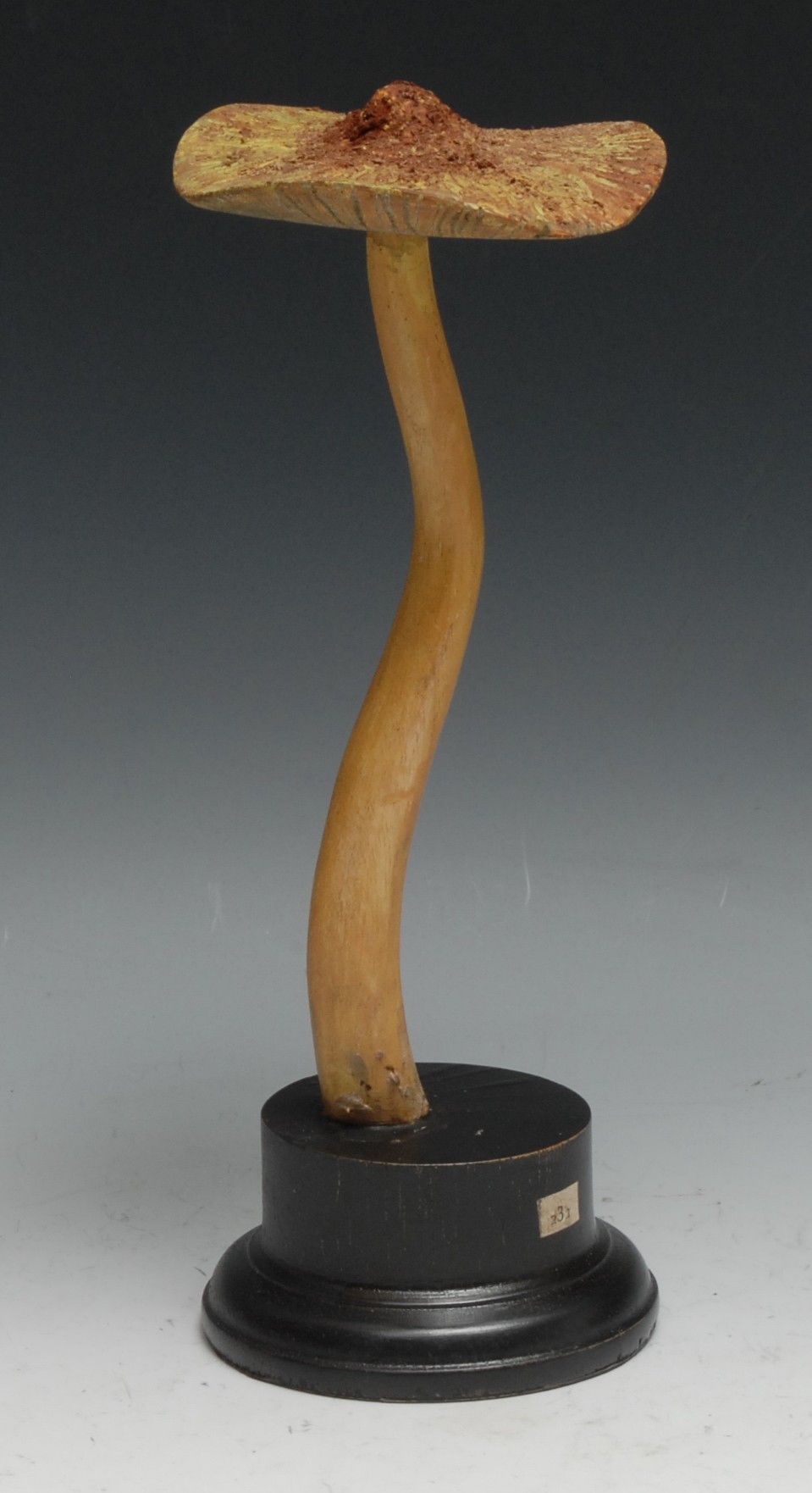 A painted softwood fungi specimen model, mounted for display, 25cm high; another (2) - Image 6 of 6