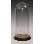 A Victorian glass dome, ebonised base, 44.5cm high, c.1880