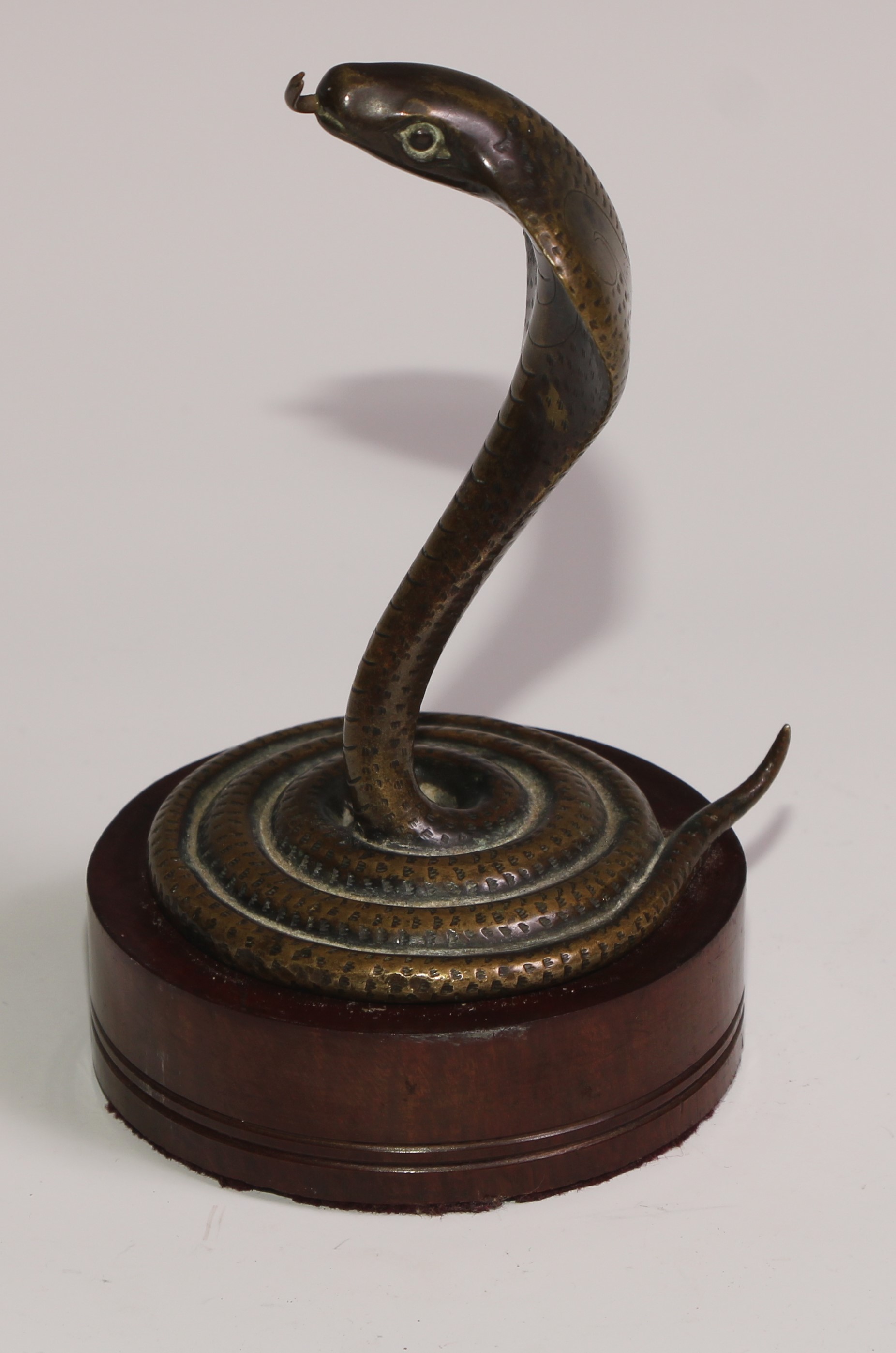 A bronze novelty pocket watch stand, as a coiled Indian cobra, hardwood base, 15cm high - Image 3 of 4