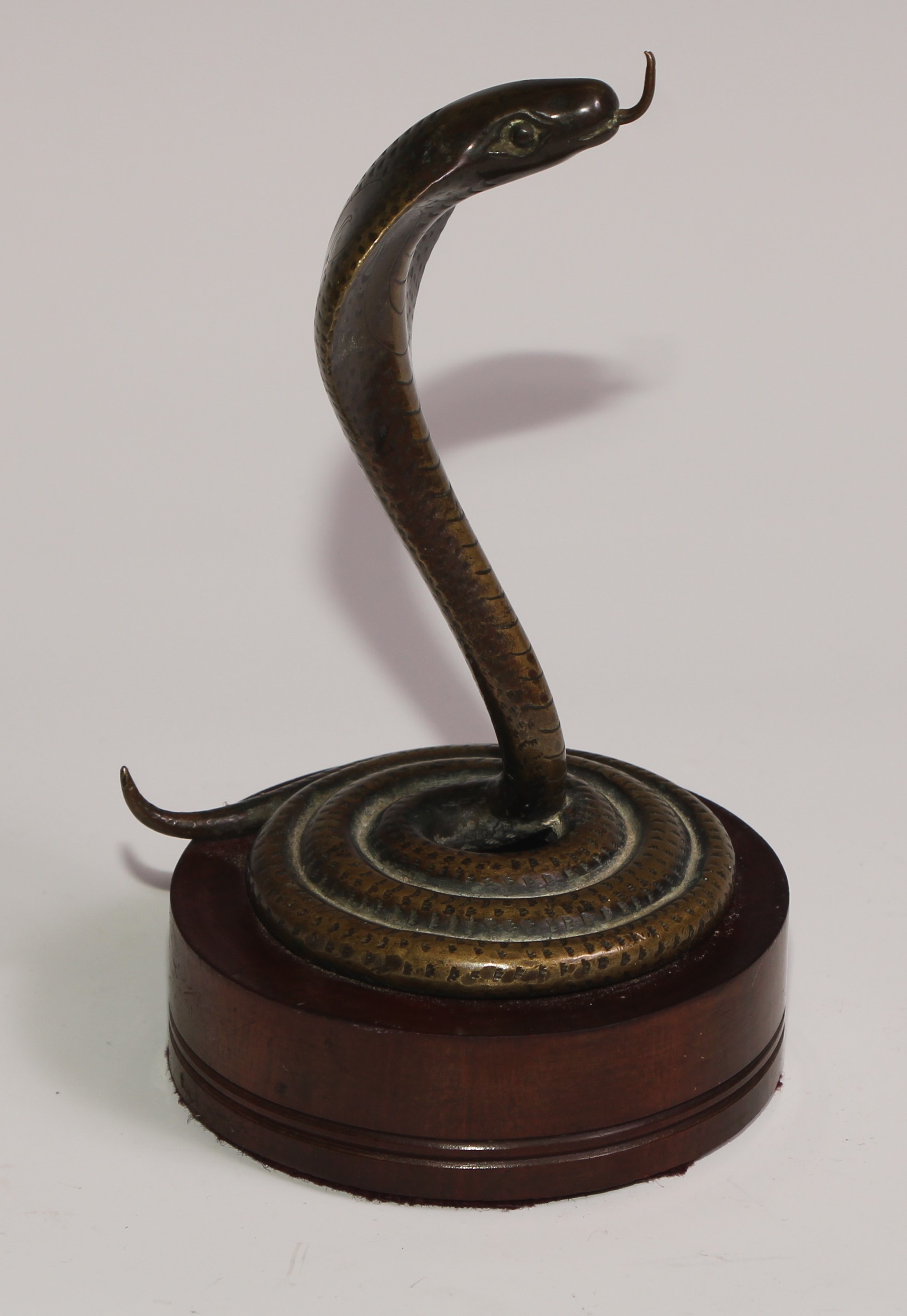 A bronze novelty pocket watch stand, as a coiled Indian cobra, hardwood base, 15cm high - Image 2 of 4