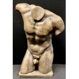 A plaster library model, of a male torso, after the antique, canted rectangular base, 79cm high