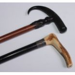 An early 20th century walking stick, the horn handle carved with a hand gripping the hardwood