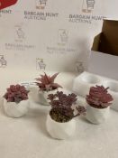 4 Piece Artificial Succulent Plants In Ceramic Pots