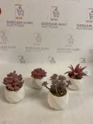 Artificial Succulent Plants In Ceramic Pots, 4 Piece