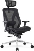 Cedric Ergonomic Office Chair with Lumbar Support Breathable Mesh RRP £195.99