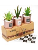 Set of 3 Kitzini Arftificial Succulents Boho Décor