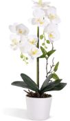 Artificial Orchid Flowers, Set of 3 RRP £87