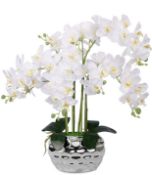 Artificial Orchid Plant In Ceramic Pot RRP £58.99
