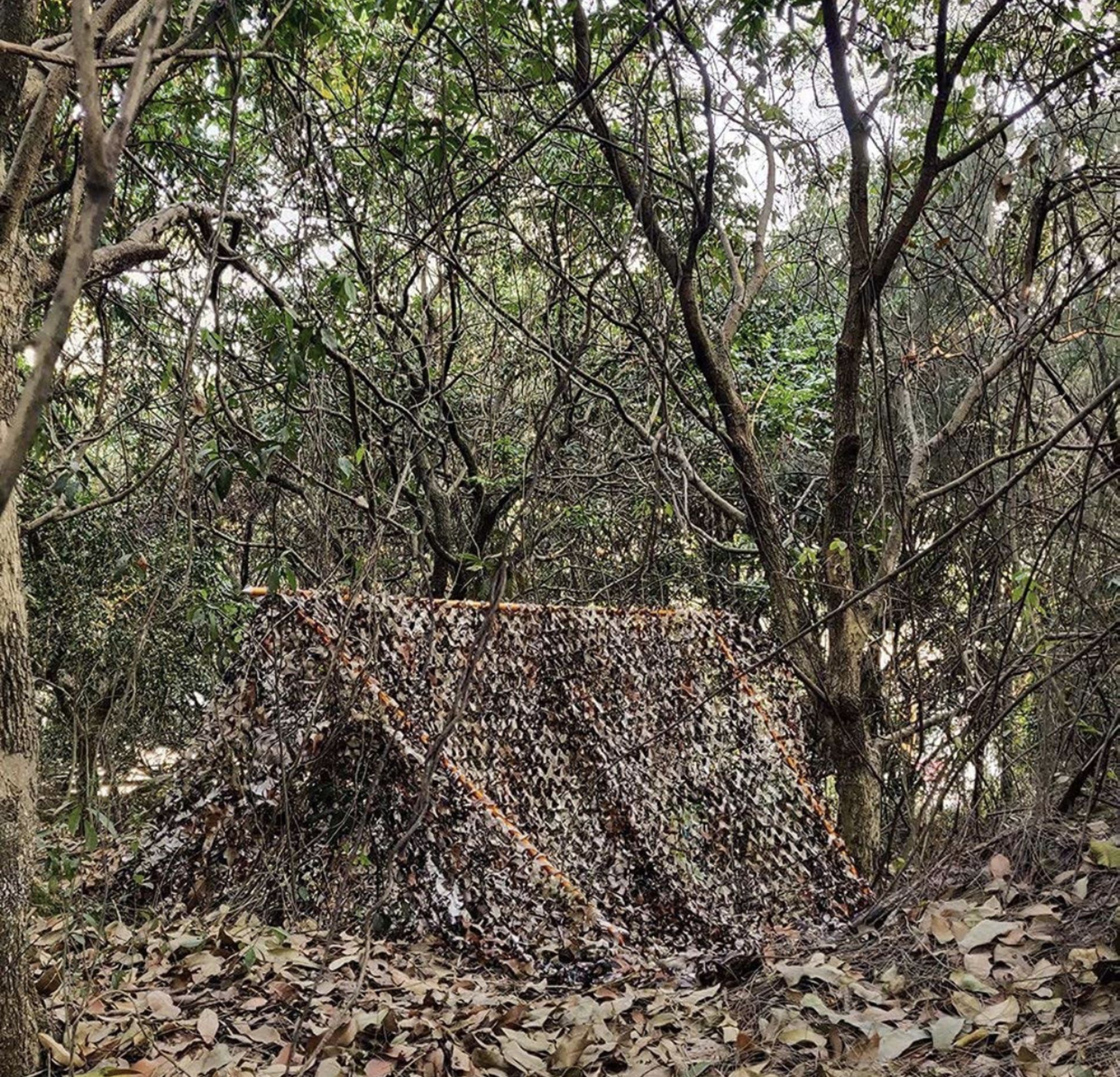 Sitong Bulk Roll Camo Netting for Hunting Military Sunshade, RRP £33.99, 1.5M x 6M