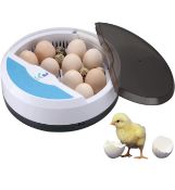 Tackly Digital Egg Incubator with Temperature Control Set of 5 RRP £200