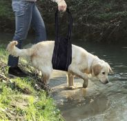 Medium Dog Mobility Aids Support Sling, Set of 3 RRP £54