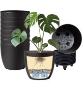 RRP £96 Set of 6 x Mohena 6-Inch 10 Pack Black Plant Pots