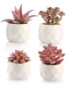 Shinroad 4pcs Succulents Plants In Pots