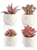 Shinroad 4pcs Succulents Plants In Pots