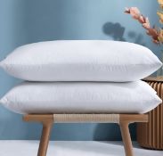 Umi Pack of 2 White Goose Feather Pillows 100% Cotton Fabric RRP £62.99