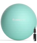 UrbnFit Exercise Ball Gym Balance Ball with Quick Pump