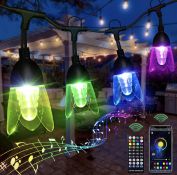 Outdoor Garden String Lights 11M/36Ft Christmas Smart Lights with Remote Control