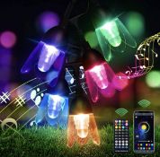 Outdoor Garden String Lights 11M/36Ft Christmas Smart Lights with Remote Control Waterproof