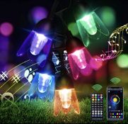 Outdoor Garden String Lights 11M/36Ft Christmas Smart Lights with Remote Control Waterproof