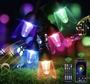 Outdoor Garden String Lights 11M/36Ft Christmas Smart Lights with Remote Control Waterproof