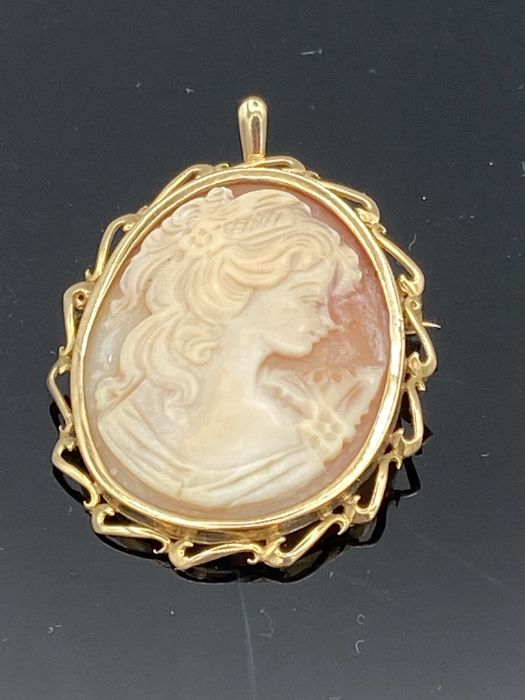 A Large Oval Shell Carved Cameo Brooch, depicting female profile, collet set in 9ct gold rope