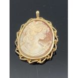 A Large Oval Shell Carved Cameo Brooch, depicting female profile, collet set in 9ct gold rope