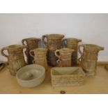 Hillstonia by Moira pottery collection of 7 various sized jugs, a bowl and a square planter