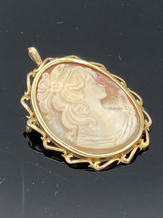 A Large Oval Shell Carved Cameo Brooch, depicting female profile, collet set in 9ct gold rope - Image 2 of 3