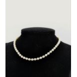 A single row of 6.5-7 mm round Freshwater pearls interspersed with eighteen carat gold rondelles