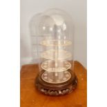 Glass display dome on ebonised stand with thimble display stand, measuring 28cm high in total