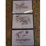 Lakenheath trilogy- prints of jets