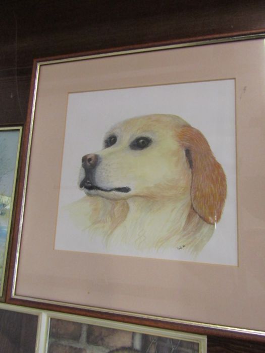 Framed dog painting signed Carol and 2 framed dog prints signed Gig etc - Image 2 of 7