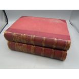 Oliver Goldsmith 'A history of the earths animated nature' 2 volumes Blackie and son (1864)