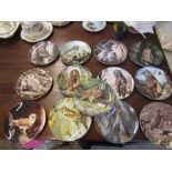 Wedgwood picture plates of owls, Royal Albert 'country Roses' decor plates etc etc