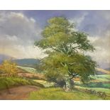 BARRY WATKIN, F.R.S.A. (BRITISH, CONTEMPORARY) Young cyclists resting under tree on hill top Signed,