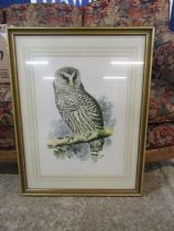 Framed Owl print 54cm x 70cm approx