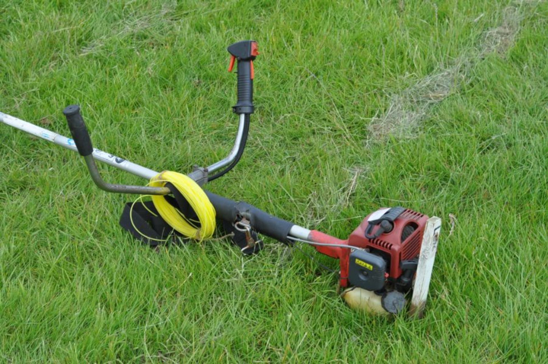 petrol Strimmer - good working order